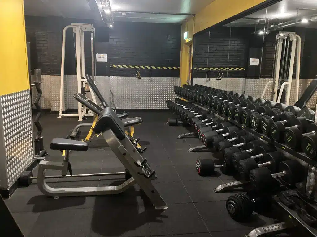 365 Gym Dumbbell Assortment Angle 2